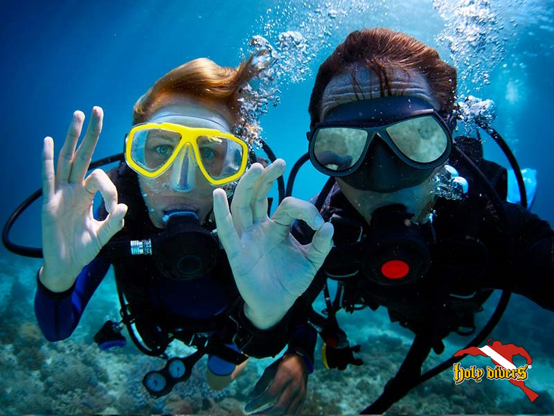 Guía del buceador: Consejos para un exitoso viaje de buceo